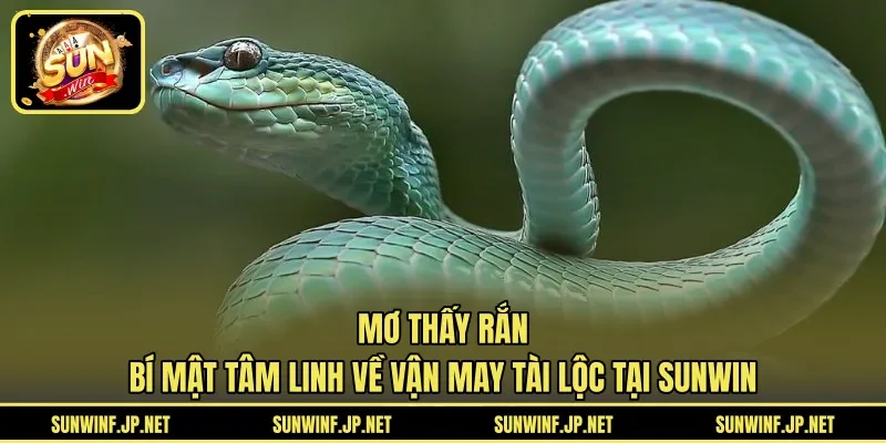 mơ thấy rắn