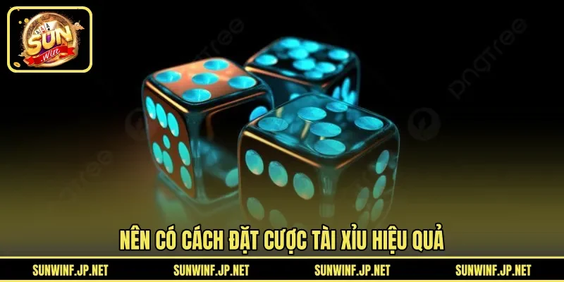 Nên có cách đặt cược Tài Xỉu hiệu quả